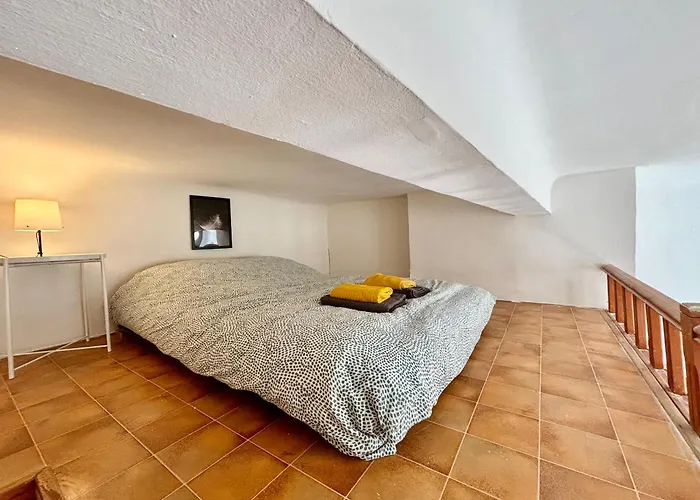 Charmant T1 Mezzanine Provencal